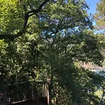 Hébergement de vacances Sobreiro Valley - Casa Firmino Vieira do Minho