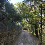 Hébergement de vacances Sobreiro Valley - Casa Firmino Vieira do Minho
