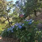 펜션 Sobreiro Valley - Casa Firmino *