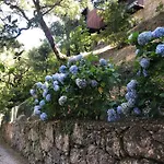 펜션 Sobreiro Valley - Casa Firmino 비에이라도미노