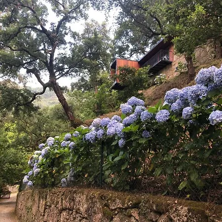 Sobreiro Valley - Casa Firmino בית נופש *