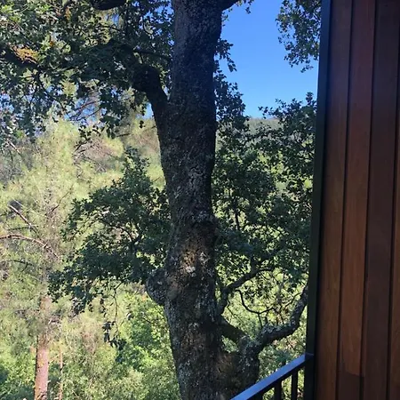 Sobreiro Valley - Casa Firmino