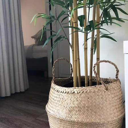 Sobreiro Valley - Casa Firmino * ヴィエイラ・ド・ミーニョ