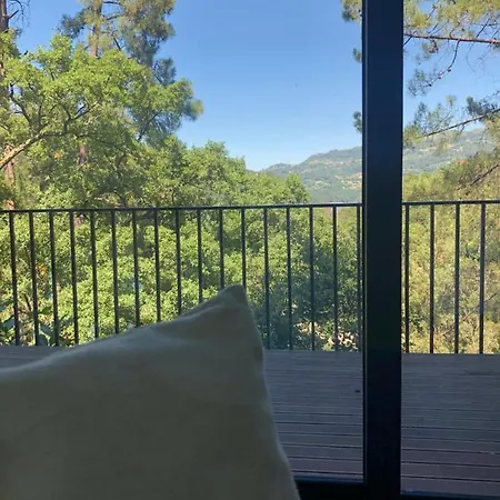 Sobreiro Valley - Casa Firmino * ヴィエイラ・ド・ミーニョ