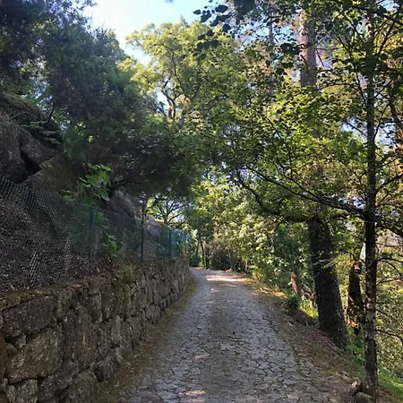別荘 Sobreiro Valley - Casa Firmino ヴィエイラ・ド・ミーニョ