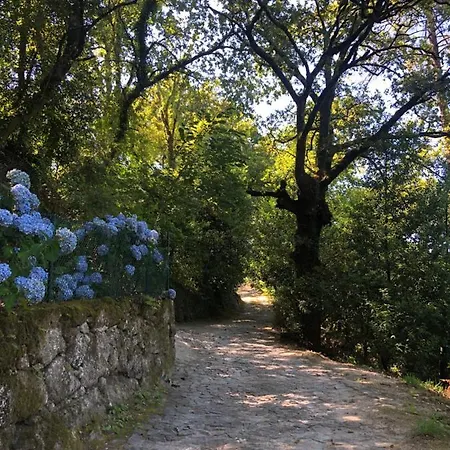 Sobreiro Valley - Casa Firmino Vieira do Minho