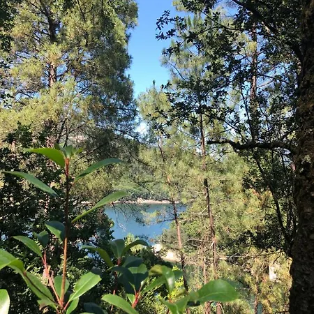 Sobreiro Valley - Casa Firmino