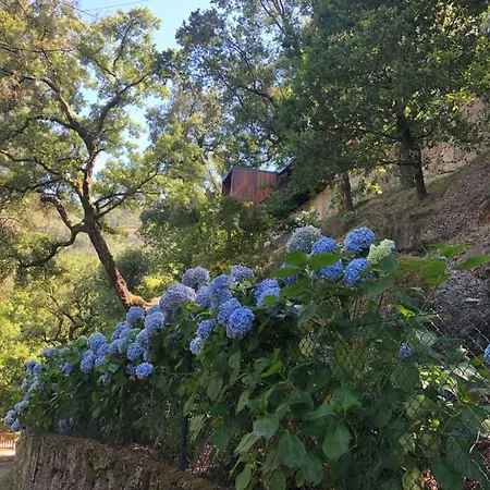 בית נופש Sobreiro Valley - Casa Firmino *