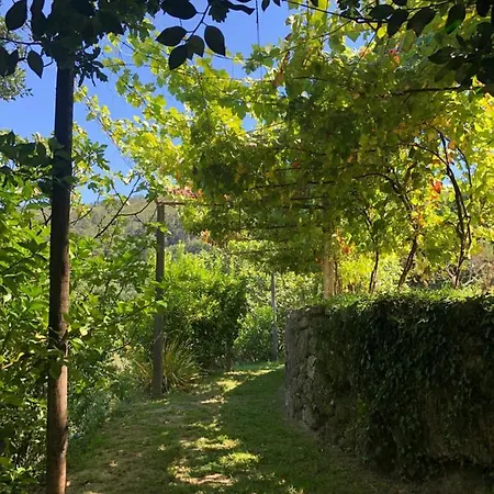Sobreiro Valley - Casa Firmino בית נופש