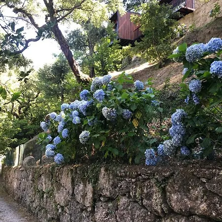 別荘 Sobreiro Valley - Casa Firmino ヴィエイラ・ド・ミーニョ