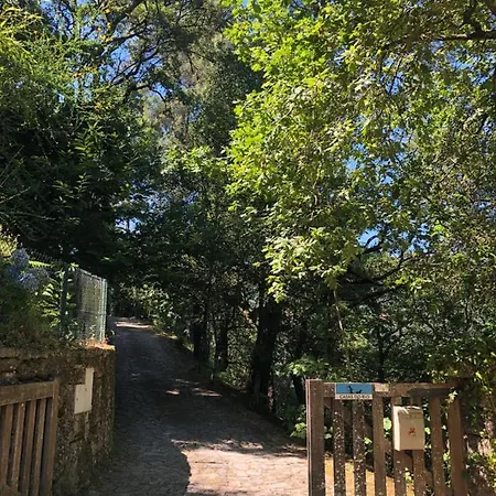 Sobreiro Valley - Casa Firmino ויירה דו מיניו