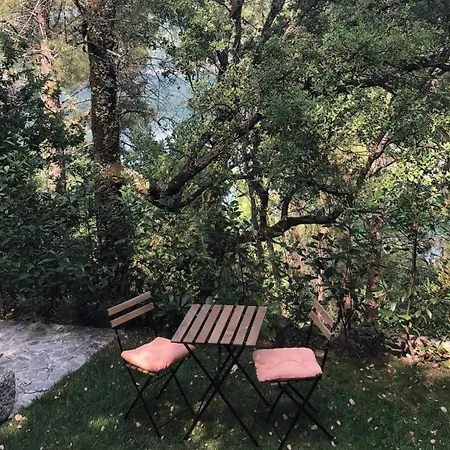 Sobreiro Valley - Casa Firmino 別荘 ヴィエイラ・ド・ミーニョ