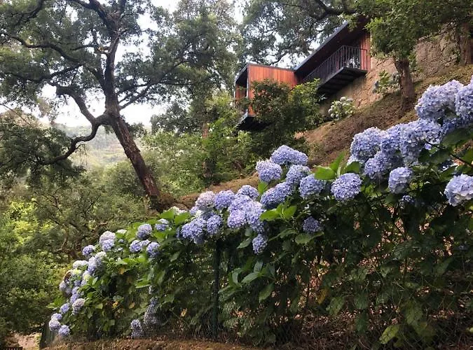 Sobreiro Valley - Casa Firmino 펜션 *