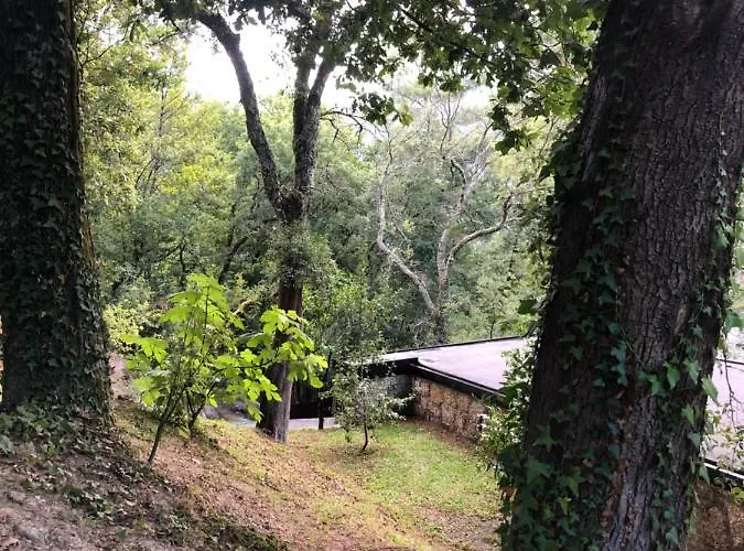 펜션 Sobreiro Valley - Casa Firmino