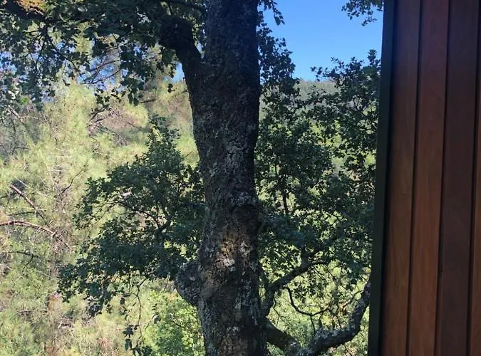 Sobreiro Valley - Casa Firmino