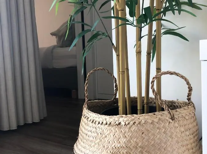 Sobreiro Valley - Casa Firmino * Vieira do Minho