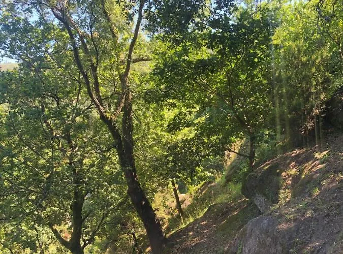 펜션 Sobreiro Valley - Casa Firmino