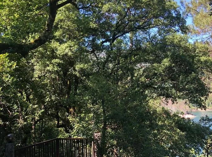 펜션 Sobreiro Valley - Casa Firmino 비에이라도미노