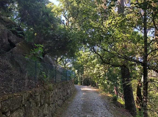 Hébergement de vacances Sobreiro Valley - Casa Firmino Vieira do Minho
