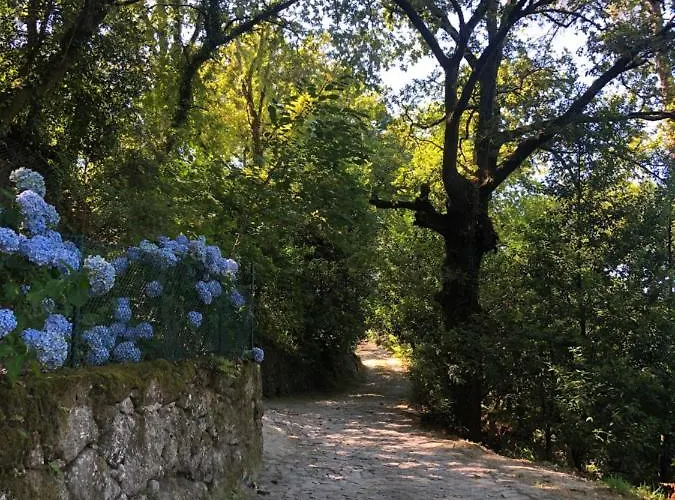 Sobreiro Valley - Casa Firmino Vieira do Minho