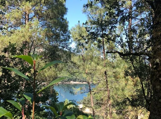 Sobreiro Valley - Casa Firmino