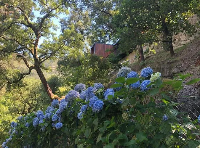 펜션 Sobreiro Valley - Casa Firmino *