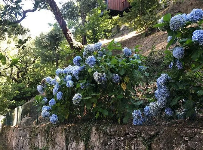 Feriehus Sobreiro Valley - Casa Firmino Vieira do Minho